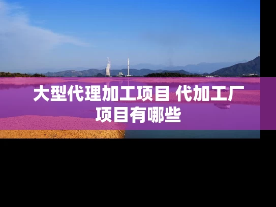 大型代理加工项目 代加工厂项目有哪些