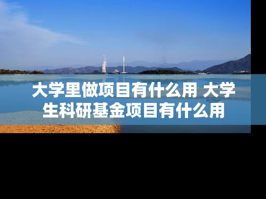 大学里做项目有什么用 大学生科研基金项目有什么用