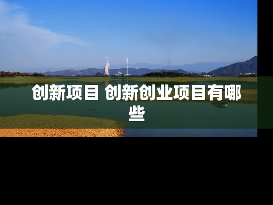 创新项目 创新创业项目有哪些