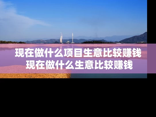 现在做什么项目生意比较赚钱 现在做什么生意比较赚钱