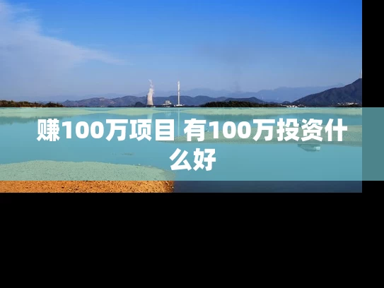 赚100万项目 有100万投资什么好