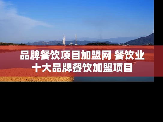 品牌餐饮项目加盟网 餐饮业十大品牌餐饮加盟项目