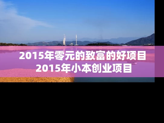 2015年零元的致富的好项目 2015年小本创业项目