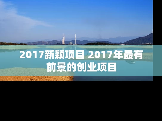 2017新颖项目 2017年最有前景的创业项目