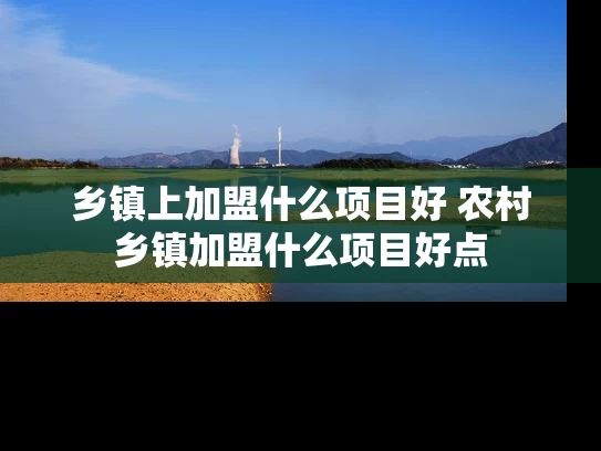 乡镇上加盟什么项目好 农村乡镇加盟什么项目好点