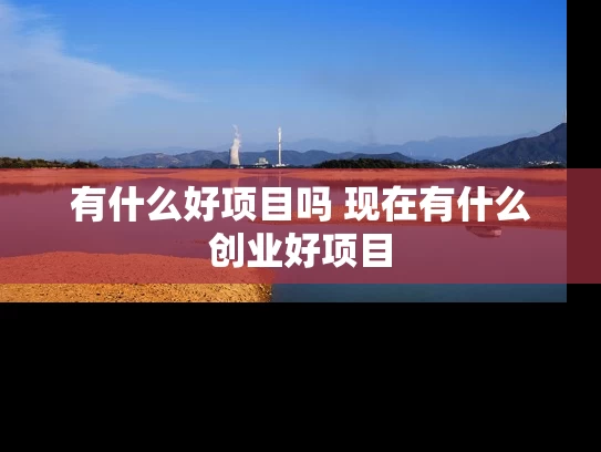 有什么好项目吗 现在有什么创业好项目