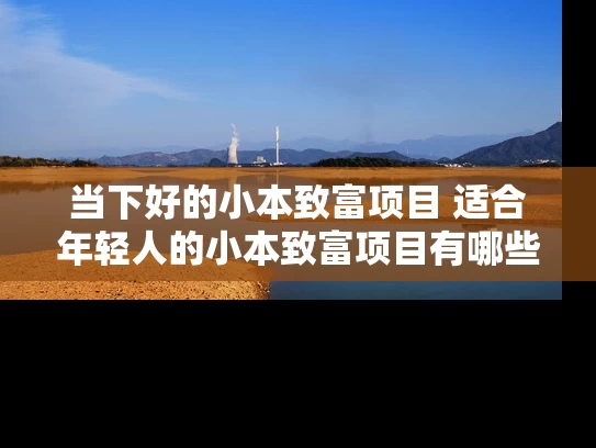当下好的小本致富项目 适合年轻人的小本致富项目有哪些