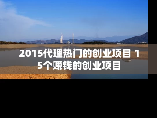 2015代理热门的创业项目 15个赚钱的创业项目