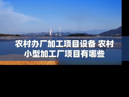 农村办厂加工项目设备 农村小型加工厂项目有哪些