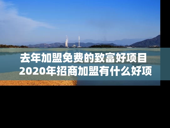 去年加盟免费的致富好项目 2020年招商加盟有什么好项目