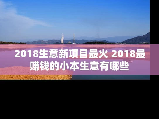2018生意新项目最火 2018最赚钱的小本生意有哪些