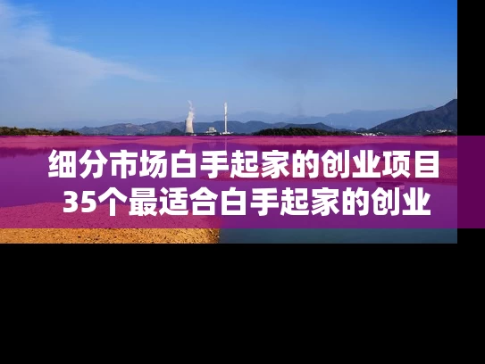 细分市场白手起家的创业项目 35个最适合白手起家的创业好项目推荐