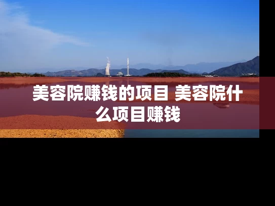 美容院赚钱的项目 美容院什么项目赚钱