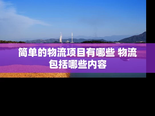 简单的物流项目有哪些 物流包括哪些内容