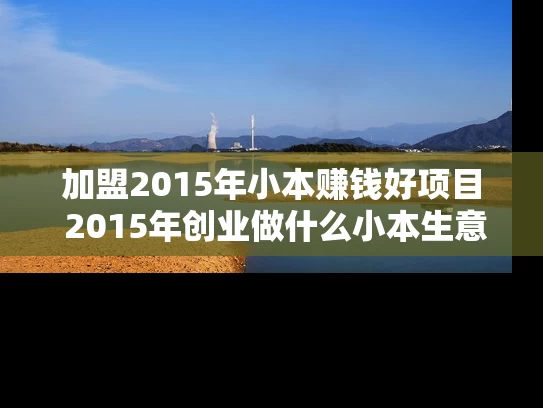 加盟2015年小本赚钱好项目 2015年创业做什么小本生意好赚钱