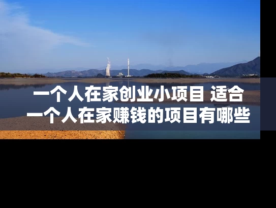 一个人在家创业小项目 适合一个人在家赚钱的项目有哪些