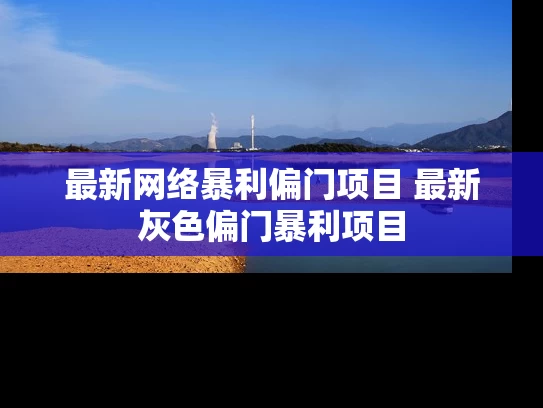 最新网络暴利偏门项目 最新灰色偏门暴利项目