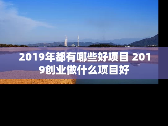 2019年都有哪些好项目 2019创业做什么项目好