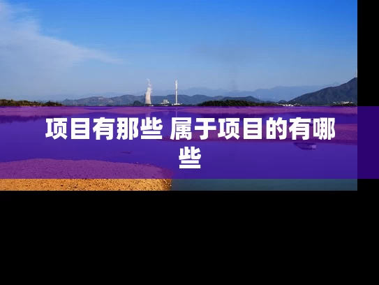 项目有那些 属于项目的有哪些