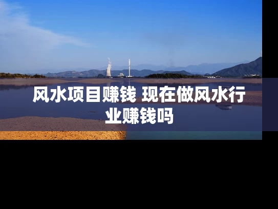 风水项目赚钱 现在做风水行业赚钱吗