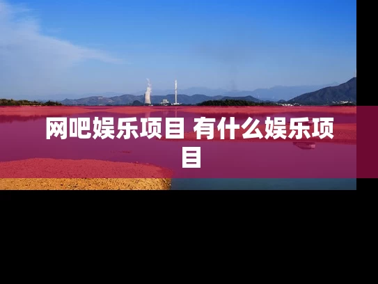 网吧娱乐项目 有什么娱乐项目