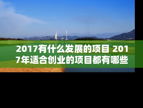 2017有什么发展的项目 2017年适合创业的项目都有哪些
