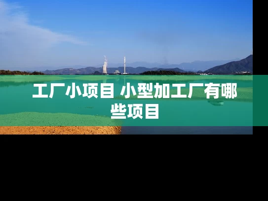 工厂小项目 小型加工厂有哪些项目