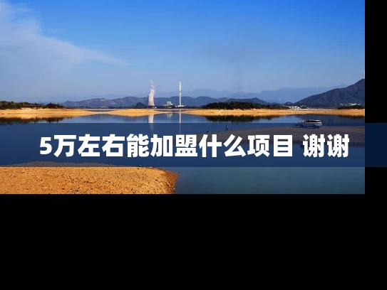 5万左右能加盟什么项目 谢谢