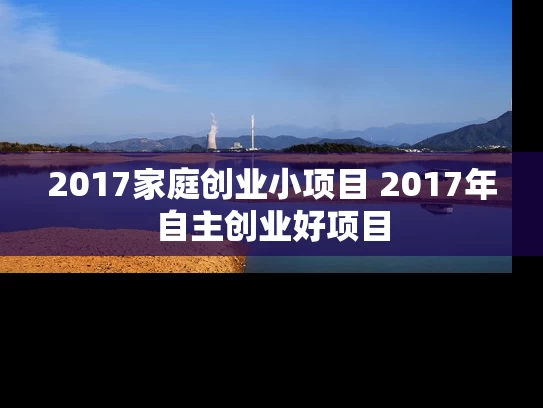 2017家庭创业小项目 2017年自主创业好项目