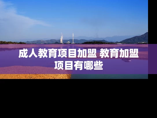 成人教育项目加盟 教育加盟项目有哪些