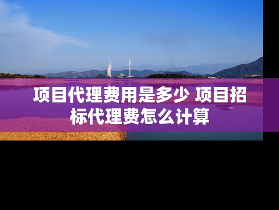 项目代理费用是多少 项目招标代理费怎么计算