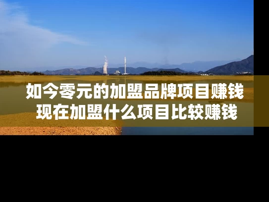 如今零元的加盟品牌项目赚钱 现在加盟什么项目比较赚钱