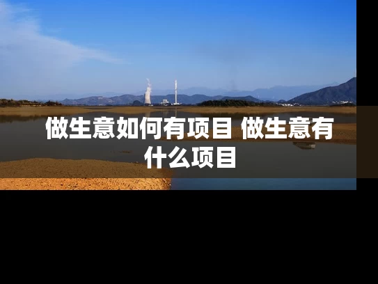 做生意如何有项目 做生意有什么项目