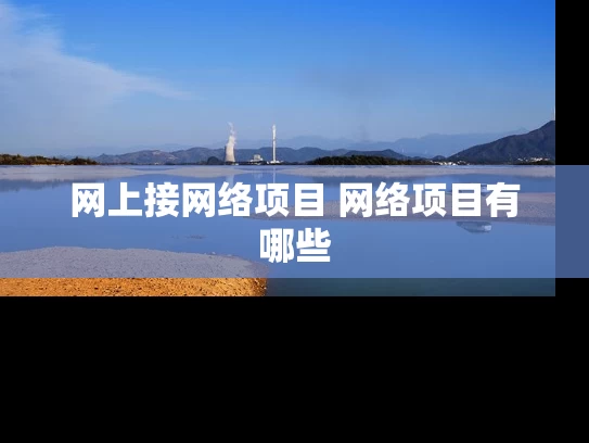 网上接网络项目 网络项目有哪些