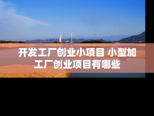 开发工厂创业小项目 小型加工厂创业项目有哪些