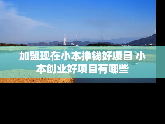 加盟现在小本挣钱好项目 小本创业好项目有哪些