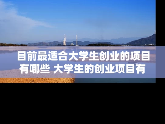 目前最适合大学生创业的项目有哪些 大学生的创业项目有哪些