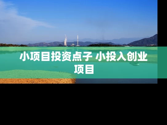 小项目投资点子 小投入创业项目