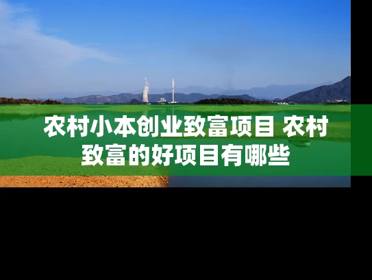 农村小本创业致富项目 农村致富的好项目有哪些