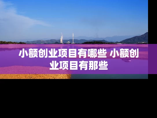 小额创业项目有哪些 小额创业项目有那些