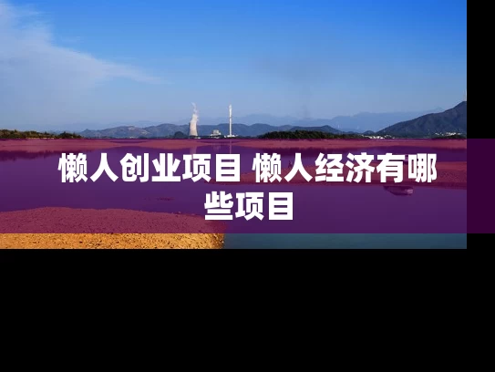 懒人创业项目 懒人经济有哪些项目