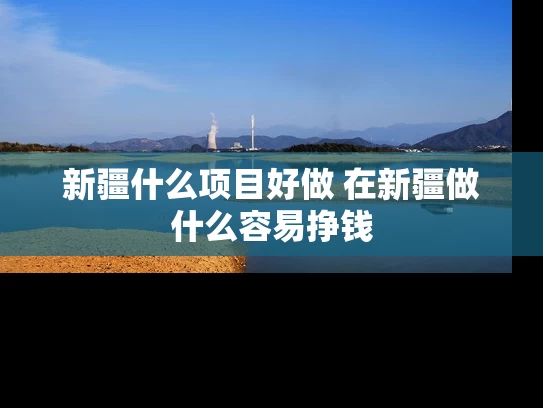 新疆什么项目好做 在新疆做什么容易挣钱