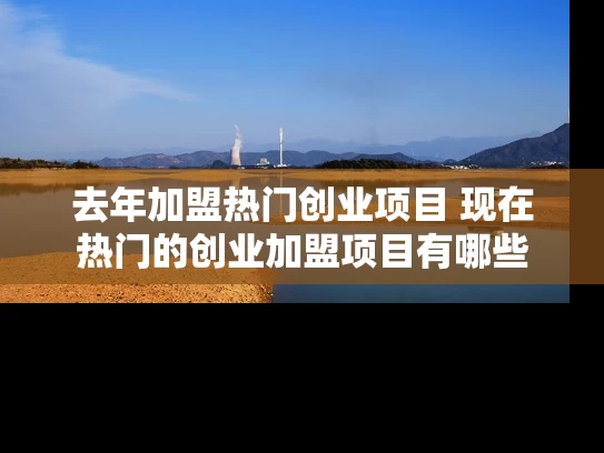 去年加盟热门创业项目 现在热门的创业加盟项目有哪些