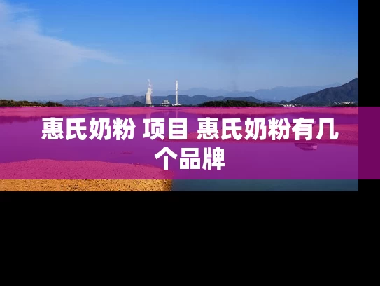 惠氏奶粉 项目 惠氏奶粉有几个品牌