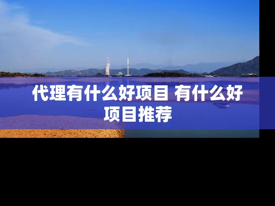 代理有什么好项目 有什么好项目推荐