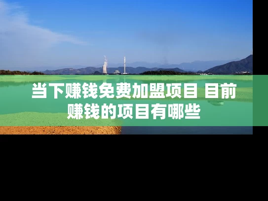 当下赚钱免费加盟项目 目前赚钱的项目有哪些