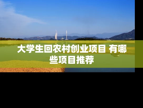 大学生回农村创业项目 有哪些项目推荐