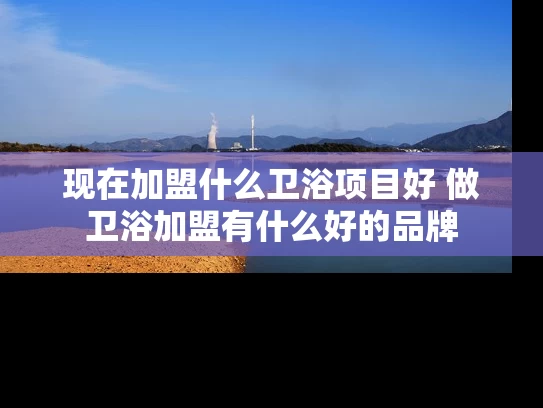 现在加盟什么卫浴项目好 做卫浴加盟有什么好的品牌