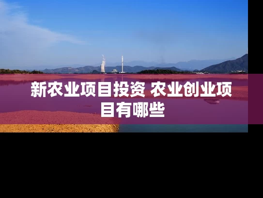 新农业项目投资 农业创业项目有哪些