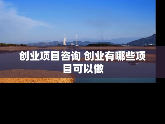 创业项目咨询 创业有哪些项目可以做